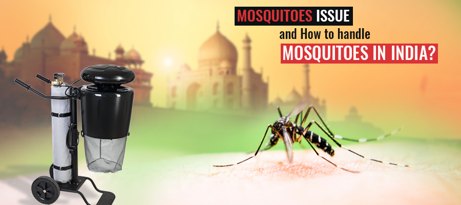 Mosquitoes Issue and How to handle mosquitoes in India?