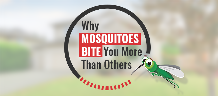 6 Major Reasons Why Mosquitoes Bite You More Than Others
